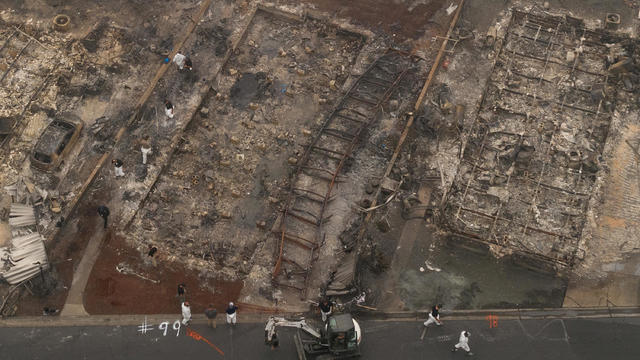 Personnel and service dog search for remains of Almeda fire victims in Phoenix, Oregon 