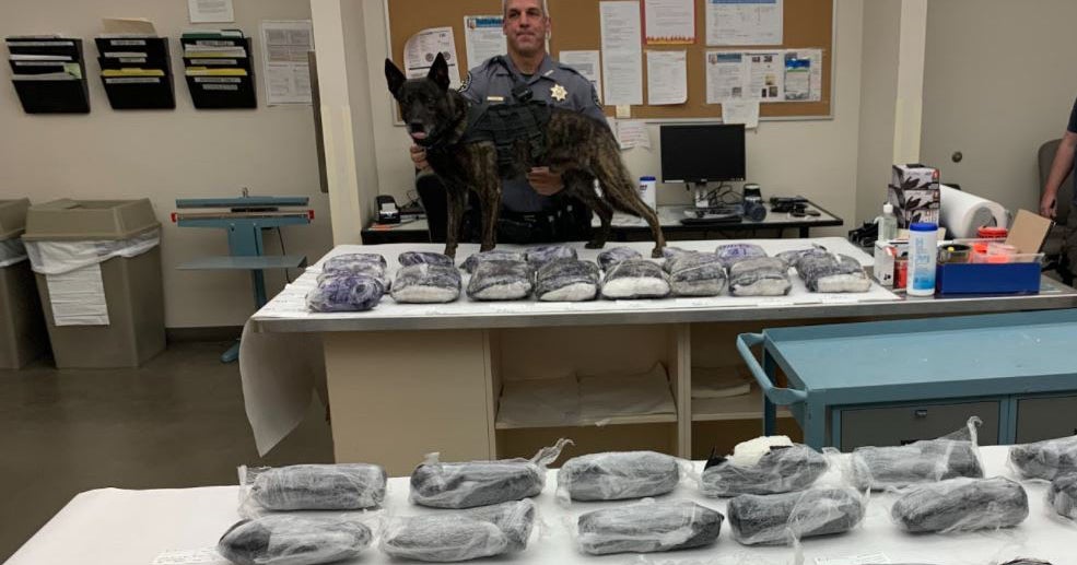 K9 'Loki' Helps Find 88 Pounds Of Meth Worth $500,000+ During Weld ...