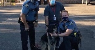 St. Paul Police: Therapy Dog Missing For A Week Reunited With Owners ...