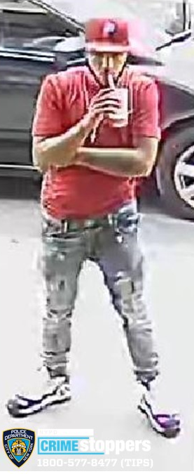 Bronx chain snatching