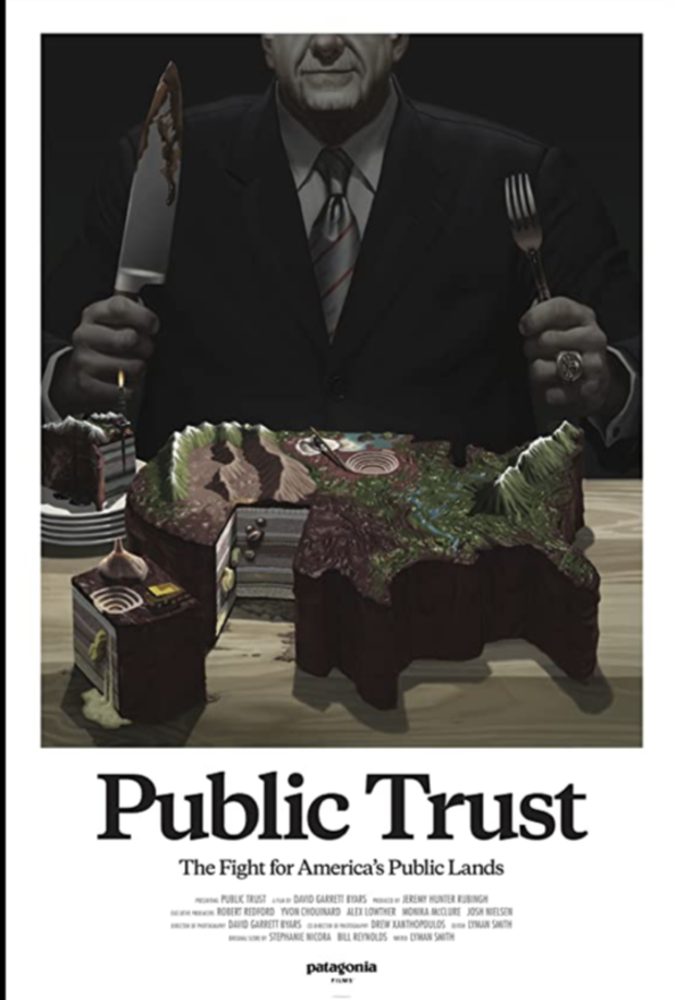 Public Trust 