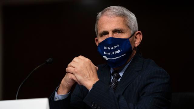 Dr. Anthony Fauci Testifies Before Senate On Federal Response To Pandemic 