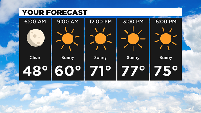 Your-Forecast-2.png 