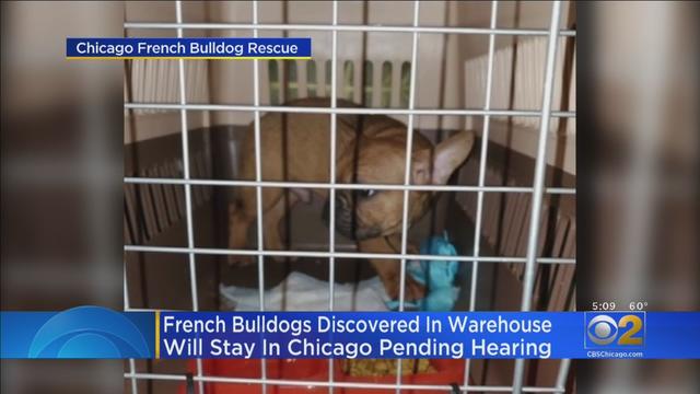 Bulldogs-Warehouse.jpg 