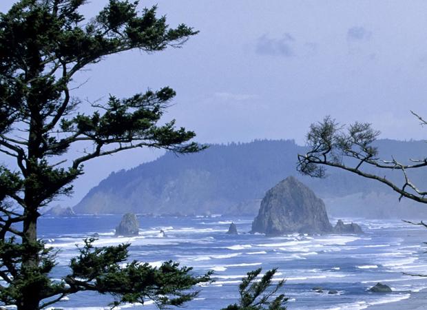 USA, Oregon Coast, Oswald West State Park, View Of Haystack 