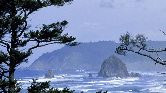 USA, Oregon Coast, Oswald West State Park, View Of Haystack 