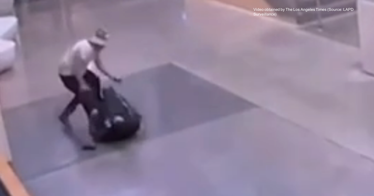 Officer Pistol-Whipped In Attack At LAPD Harbor Station, Suspect Held ...