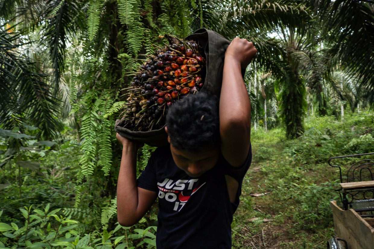 A Girl Scout calls out link to palm oil industry and child labor in