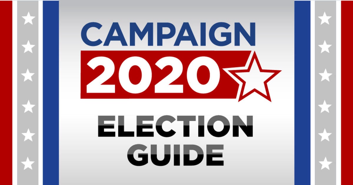 Tawnja Zahradka: 2020 Election Guide - CBS Minnesota