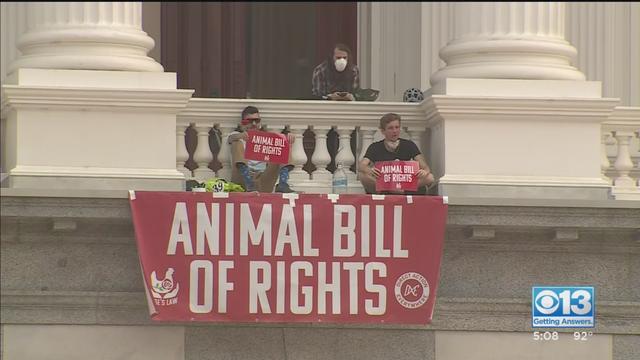 capitol-animal-rights-protest.jpg 