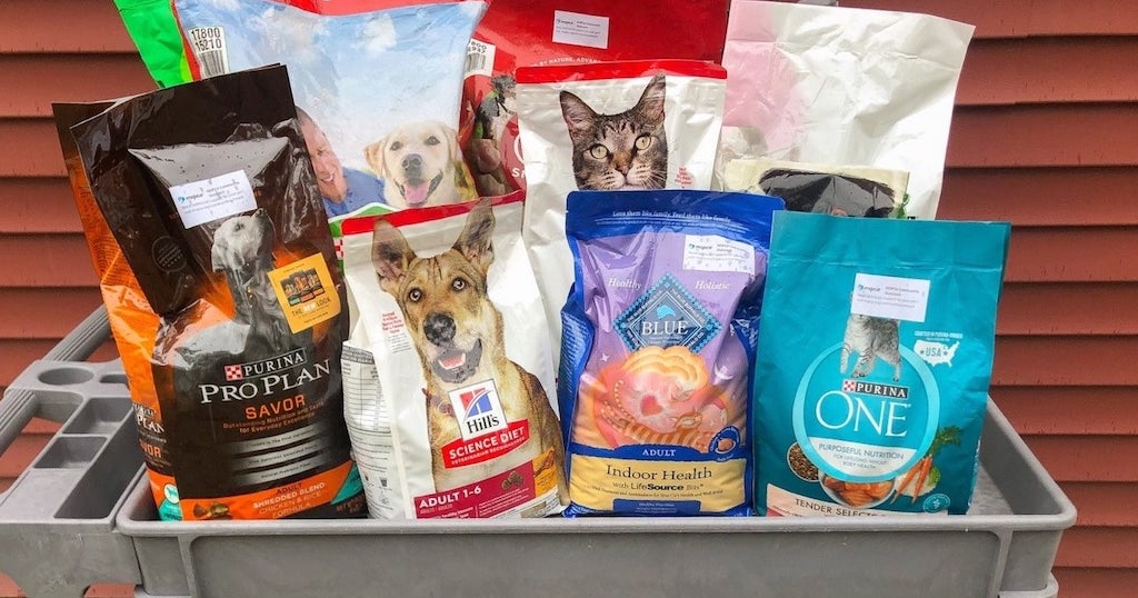 MSPCACape Cod Raises 50,000 Pet Meals For Owners CBS Boston