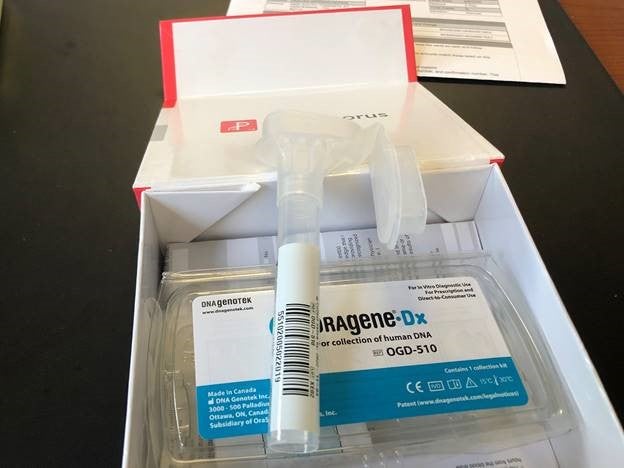 Safeway And Albertsons Now Selling At Home COVID 19 Tests CBS Colorado