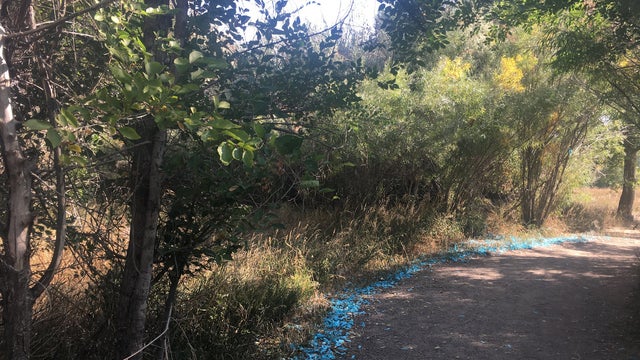 gender-reveal-trash-on-trail-credit-jeffco-open-space.jpg 