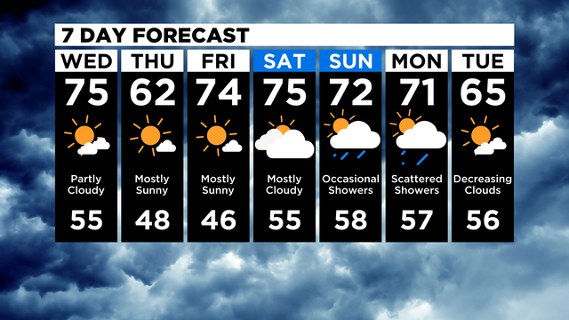 7 Day Forecast 