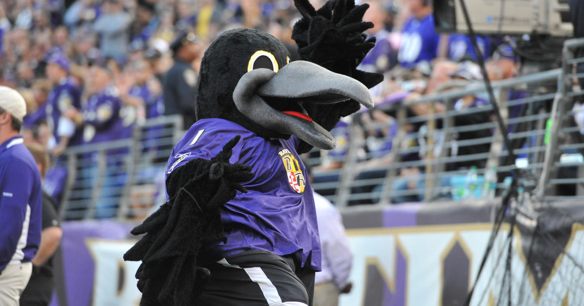 Screen on North Charles Street will broadcast Baltimore Ravens