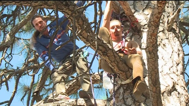 nevada-city-tree-protest.jpg 