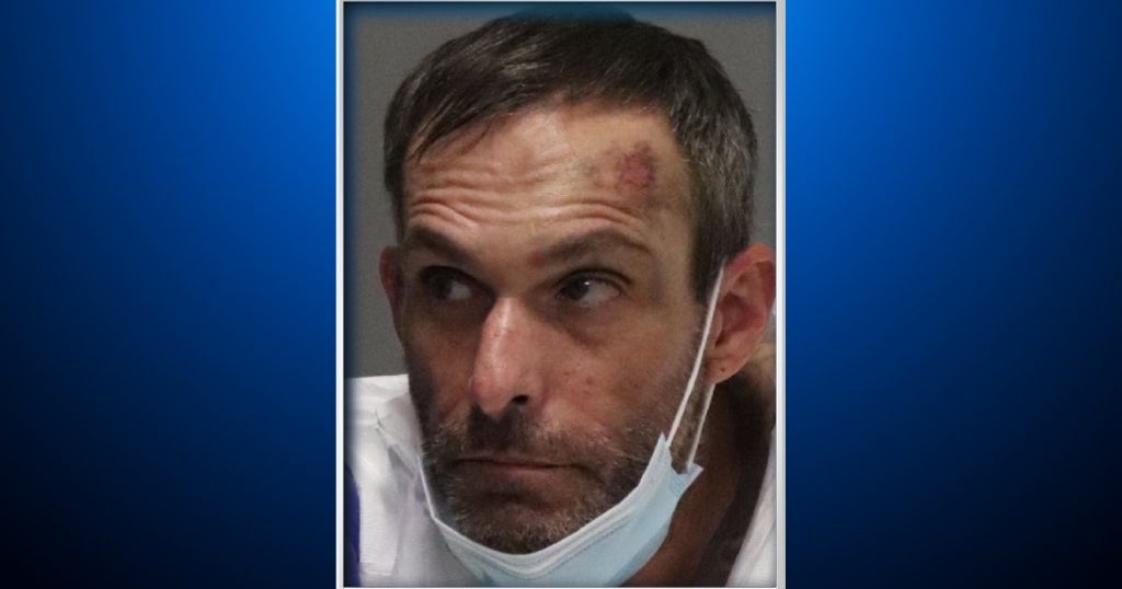 Palo Alto Attempted Carjacking Suspect Arrested After Officer Uses Stun ...