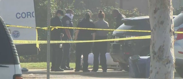 2 Boys Found Shot To Death In Crashed Car In Willowbrook