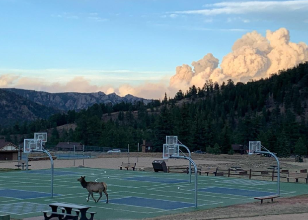 Cameron Peak Fire 4 (Friday, from Inciweb) 