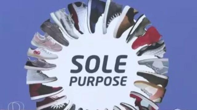 Sole-purpose.jpg 