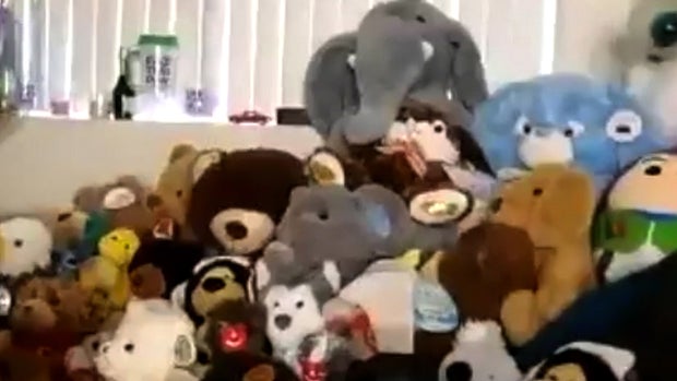 VJ Smith Stuffed Animals 2 