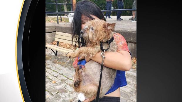 dog rescued 