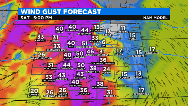 NAM State Wind Gusts 