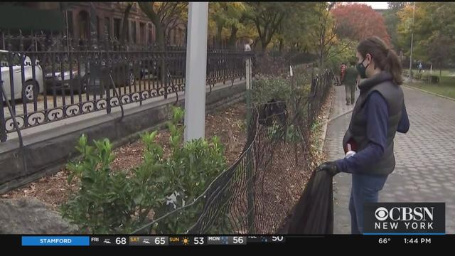 volunteer-cleans-marcus-garvey-park.jpg 