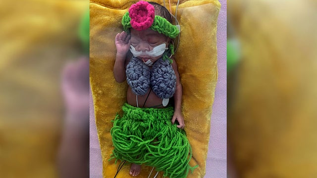 Nicu-hula.jpg 