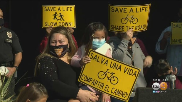 Suspect Arrested Fatal South LA Hit-And-Run