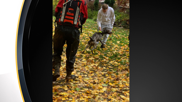 north-huntingdon-brush-creek-dog-rescue-1 