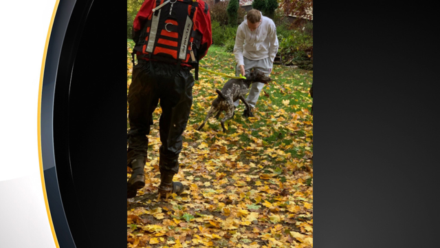 north-huntingdon-brush-creek-dog-rescue-1.png 