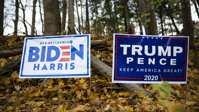 biden-trump-political-signs.png 