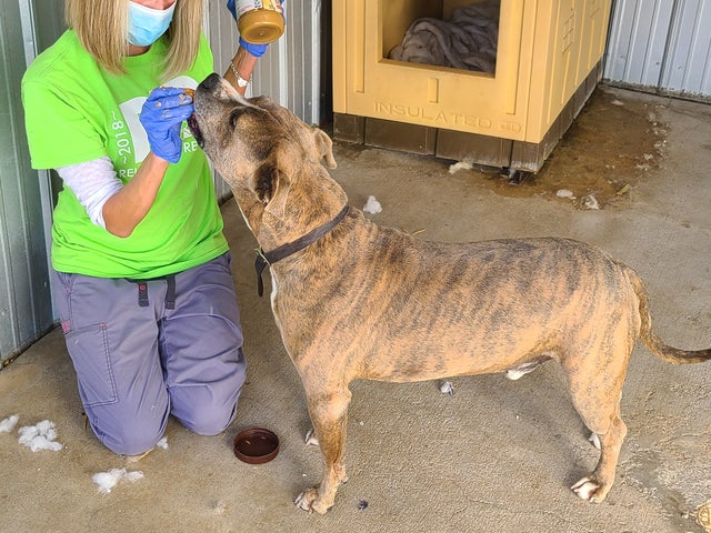 KaceyandDrools102220 