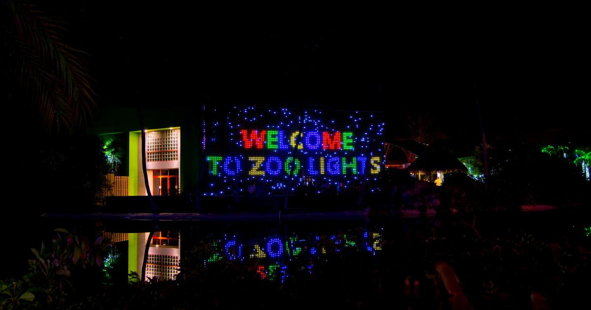 'Zoo Lights Miami' Returning To Zoo Miami In Late November CBS Miami