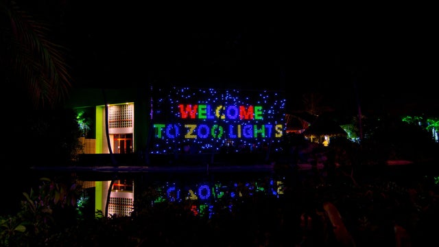 zoo-miami-lights.jpeg 
