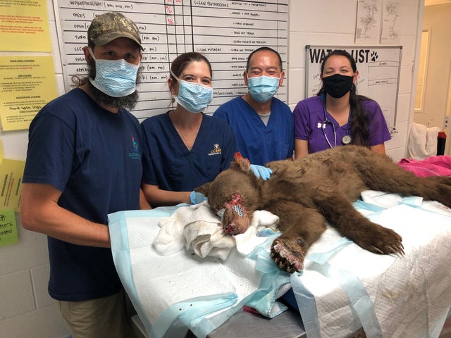 123733851_1790357227787655_4152940880061693193_o 