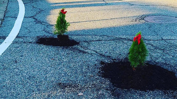 pothole christmas tree 