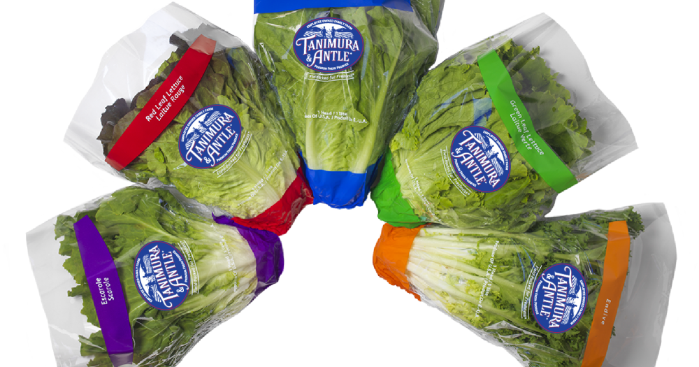 A dozen sickened in E. coli outbreak linked to recalled romaine lettuce ...