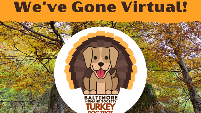 FB-Weve-Gone-Virtual.png 