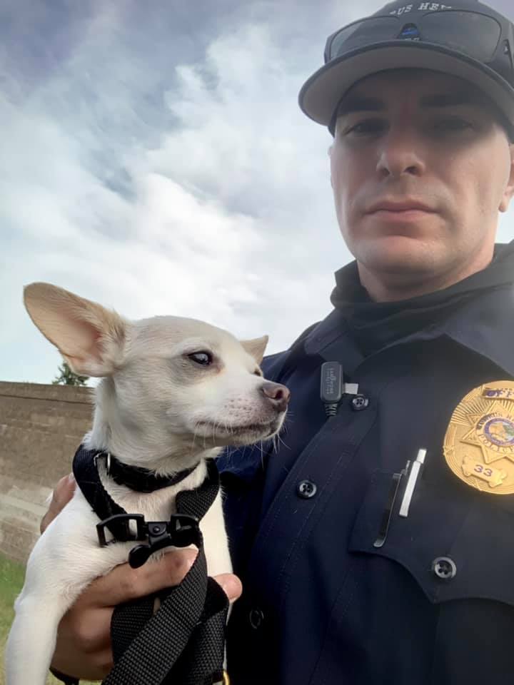 Shocking Turn Of Events In Citrus Heights Police Investigation Suspect Motive Unraveled - jhwdbji