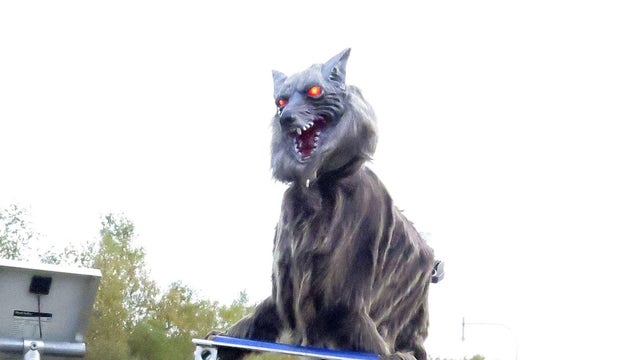 A robot called Monster Wolf  is installed in an effort to scare away bears that have become an increasingly dangerous nuisance in the countryside, in Takikawa 