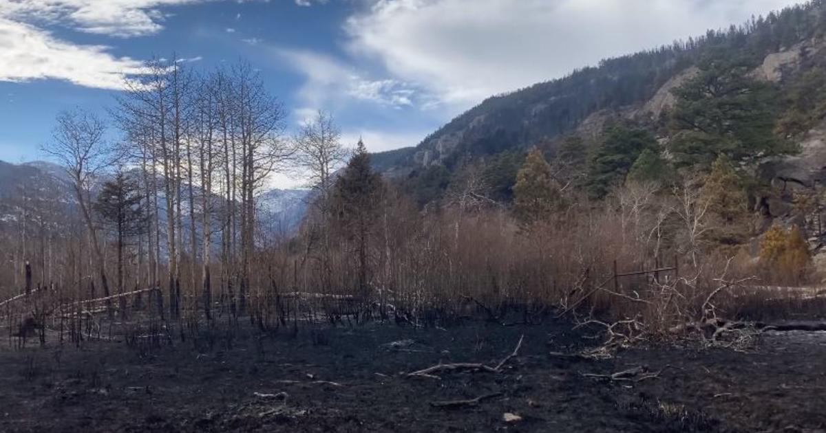 VIDEO: Rocky Mountain National Park Shows Damage From East Troublesome ...