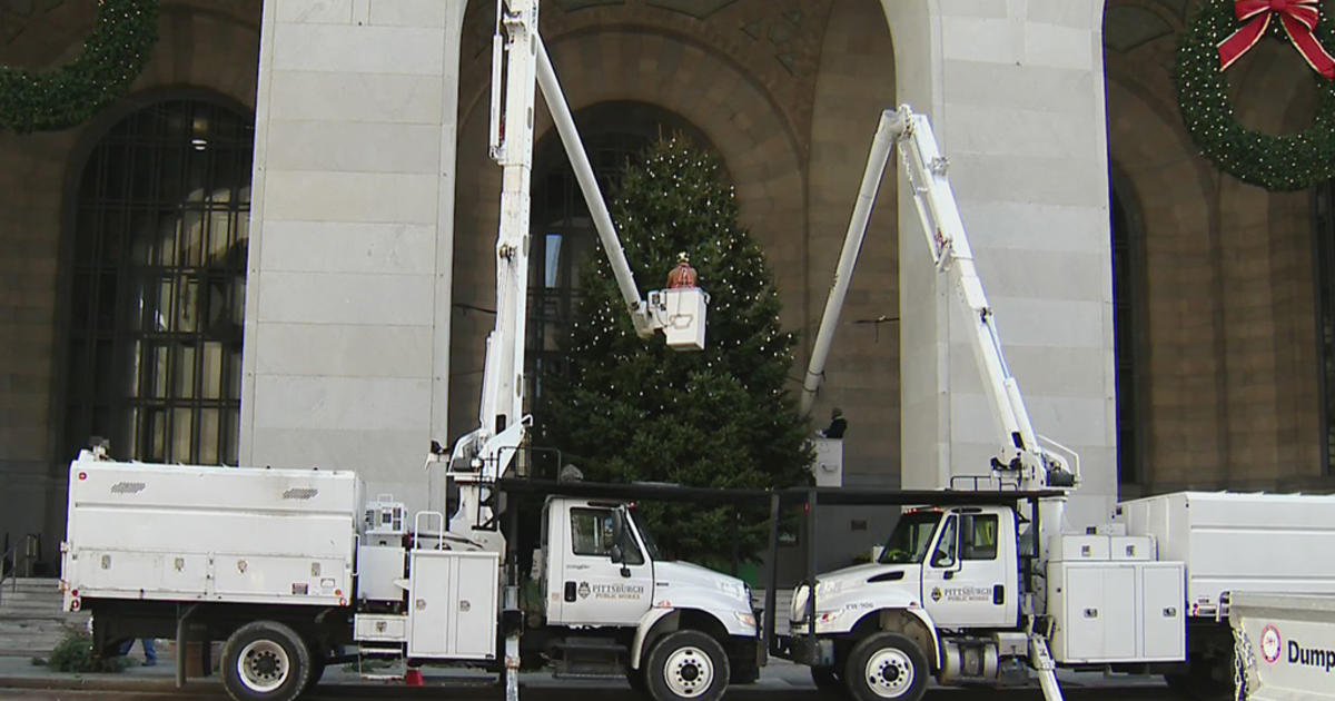 Pittsburgh begins search for City-County Building’s Christmas tree