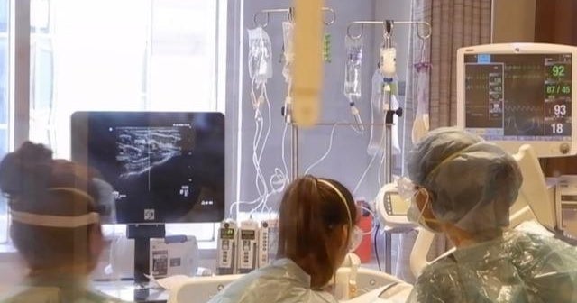 Record COVID-19 cases reported as infections rise in all 50 states ...