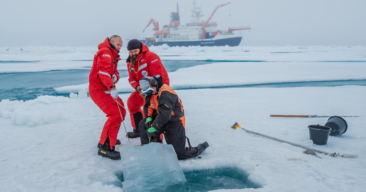 "Take action" or face a grim future, warns climate scientist after a ...