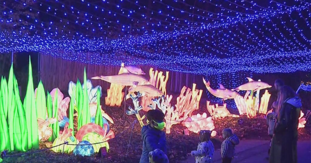 Bronx Zoo Previews Holiday Lights Event For Members, Display Opens To
