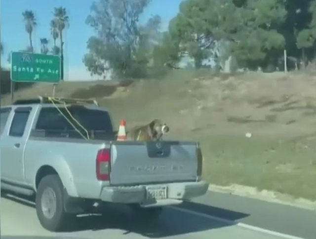 Screen Shot 2020-11-18 at 10.27.17 PM 