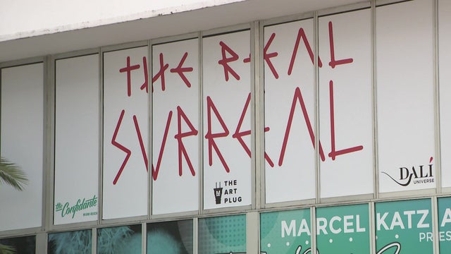 Salvador Dali Exhibit 