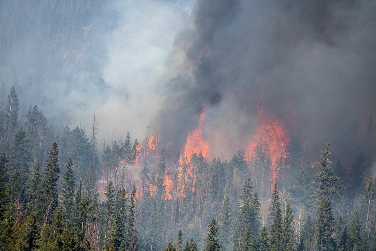 More roads in Cameron Peak Fire burn area reopen 2 years after fire ...